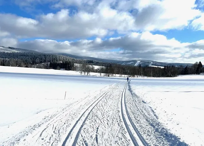 Lägenhet 58 Destne v Orlickych horach